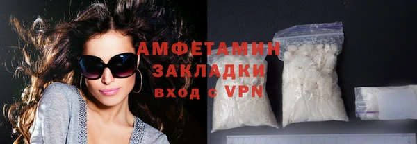 шишки Абаза