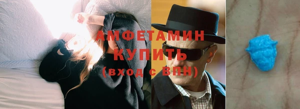 шишки Абаза