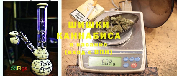 гашик Нея